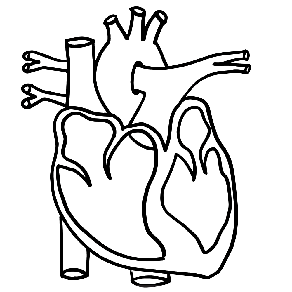 Hand Drawn Heart