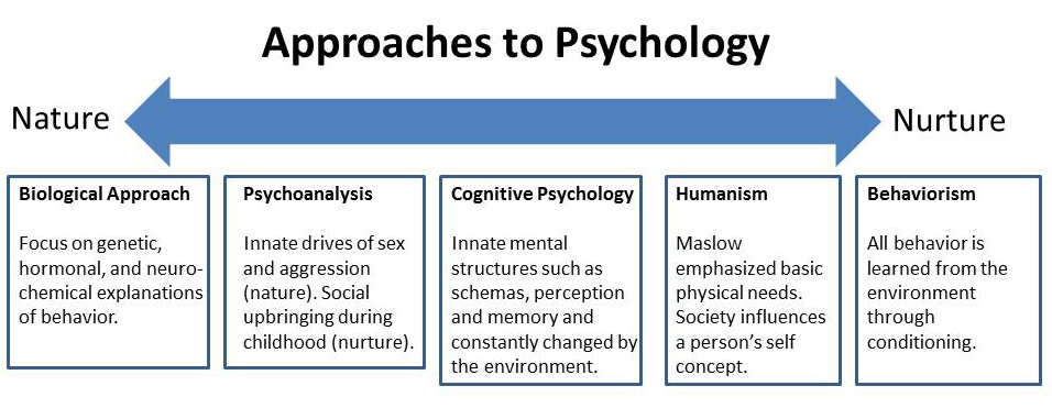 How do nature and nurture work | by Alexis Carbajal | Medium