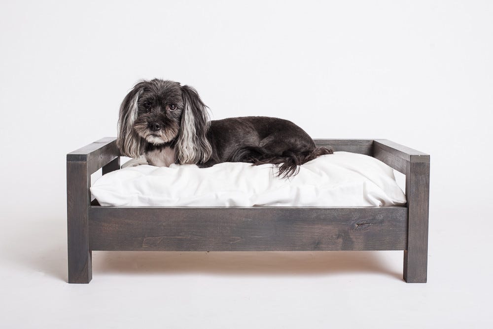 human bed with dog bed