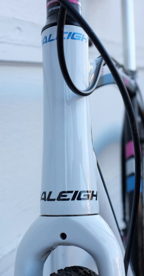 Bikes of the stable: Raleigh RXS singlespeed cyclocross | by Wayne ...
