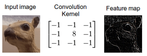 The Most Intuitive And Easiest Guide For Convolutional Neural Network By Jiwon Jeong Towards Data Science