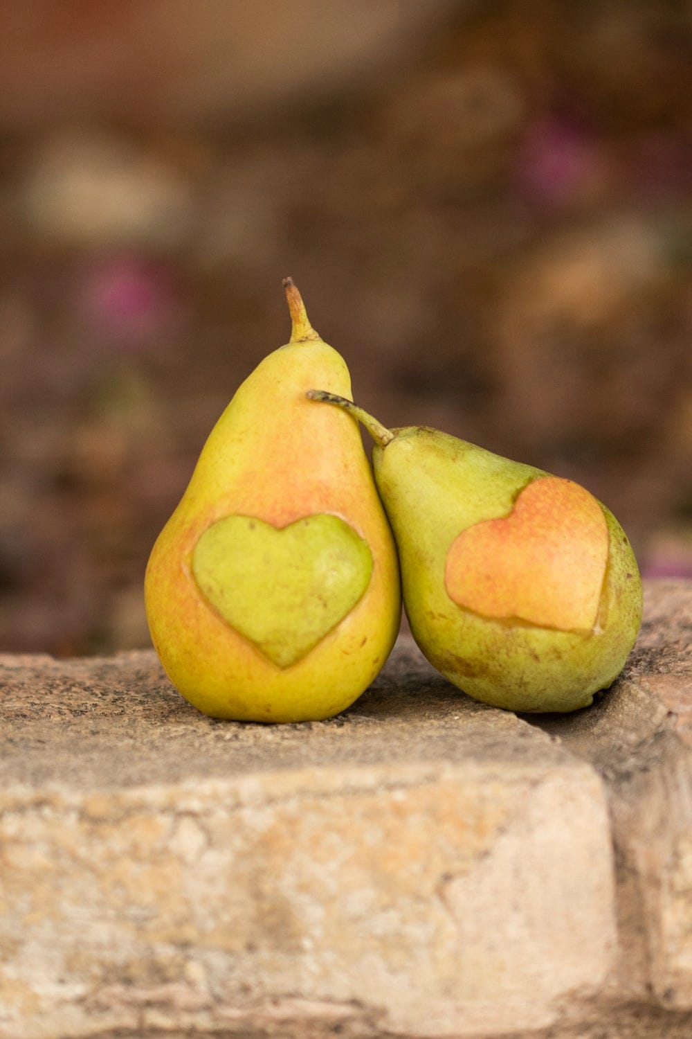 Too good to go: The story of a food-waste warrior and his startup | by Asha  Tanwar | Bootcamp