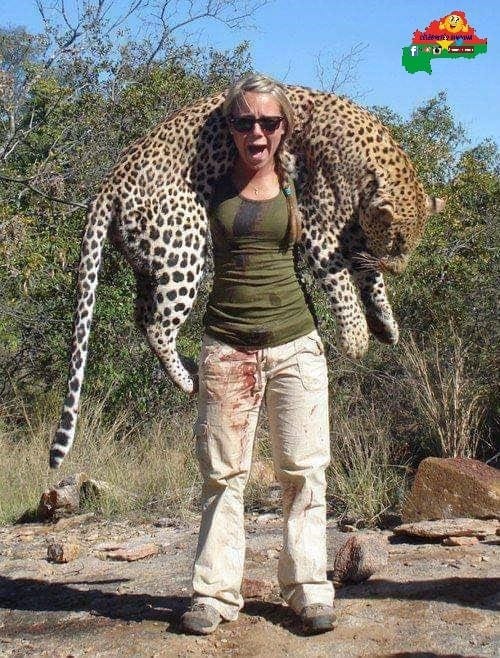 FAUX : Cette image d'une femme avec un léopard mort n'a pas été prise au  Burkina Faso | by PesaCheck | PesaCheck