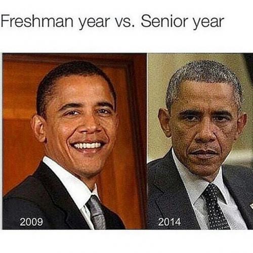 A Freshman’s FAQ, Answered by NYU Local NYU Local