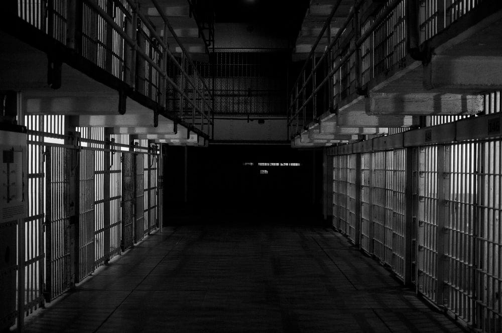 Brief History of America’s Private Prison System What’s their goal