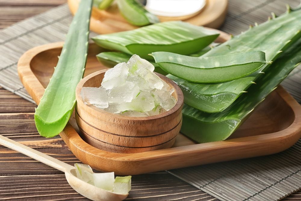Nutritional Facts, Benefits, Weight Loss, and Side Effects of Aloe Vera
