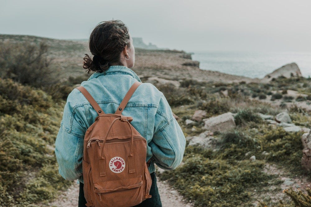 The Price of Aesthetics: Fjallraven Kånken Backpack | by InPrint at Davis |  Medium