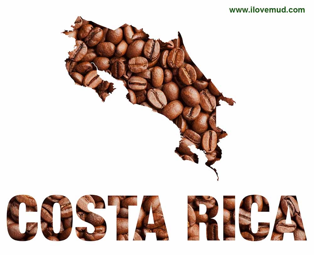 Exploring Coffee by Region Costa Rica by Muddy Waters Coffee Co