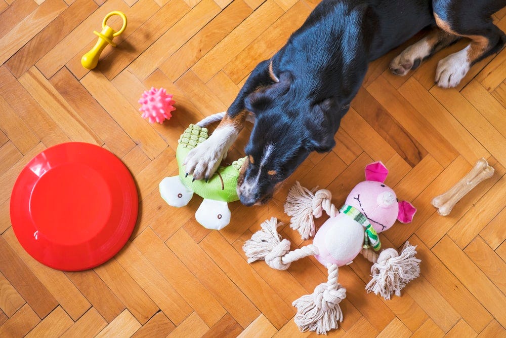 ai dog toy
