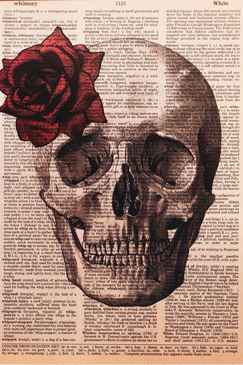 The Washington Post And The Toxicity Of False Equivalence By Dr Thomas J West Iii Reluctant Moderation May 21 Medium