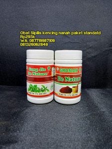 Bagaimana Cara Membuat Obat Probiotik Herbal Untuk Mengobati