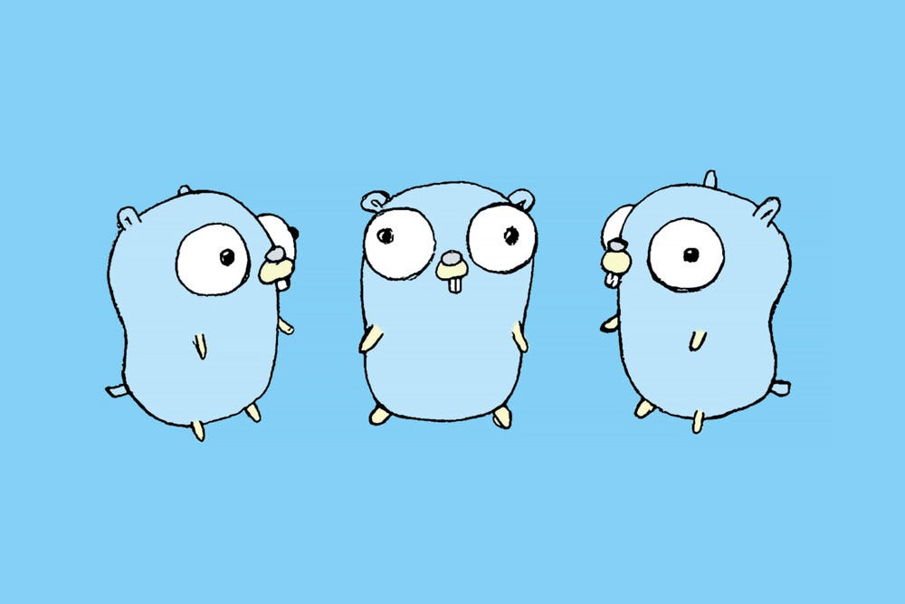 What is the Extension Interface Pattern in Golang (Go)?