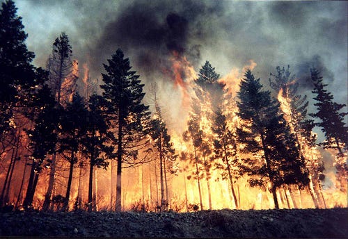 Beautiful Disaster You Re A Fire A Beautiful Disaster By Nathania Astria Medium