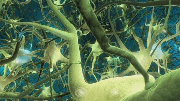 python neural network course