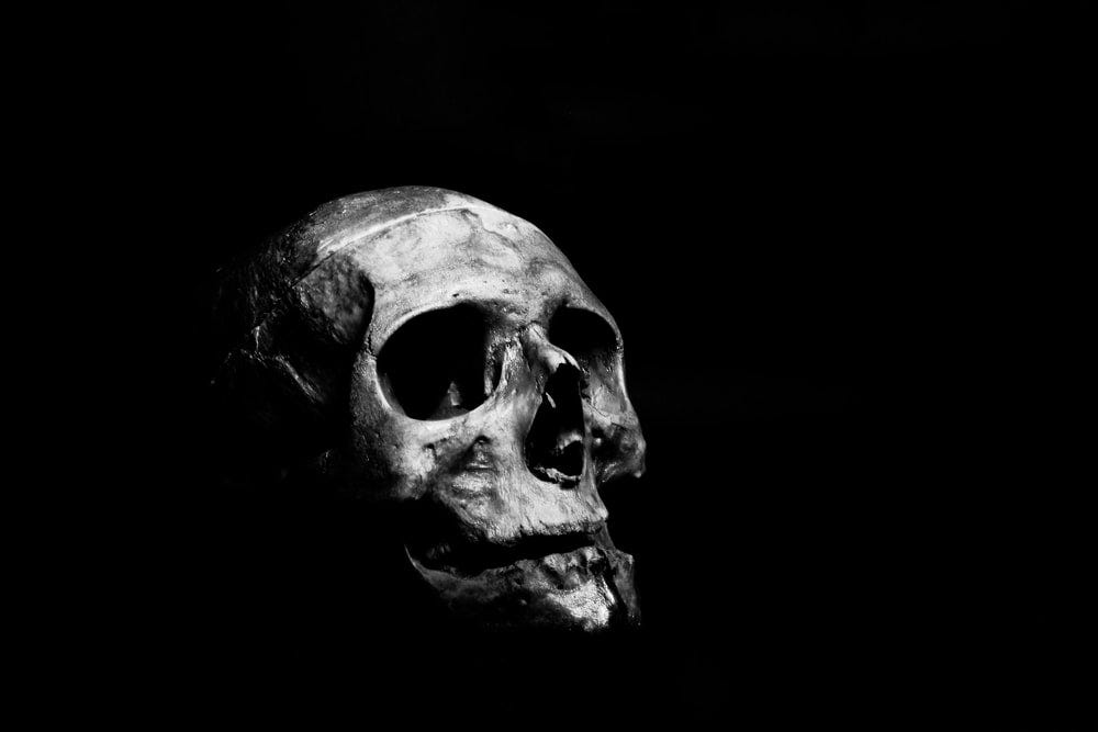 The American Death Drive Is Alive And Well By Dr Thomas J West Iii Reluctant Moderation Medium