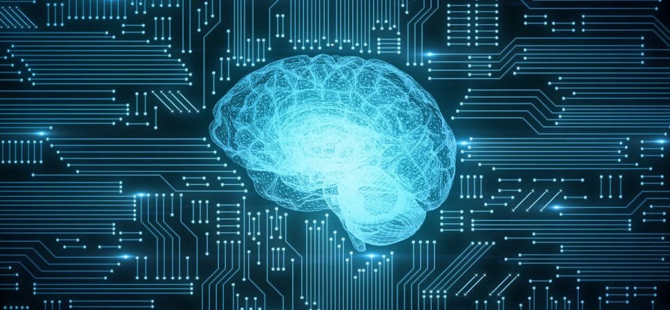 A Beginner’s Guide to Machine Learning - Tarik Irshad - Medium