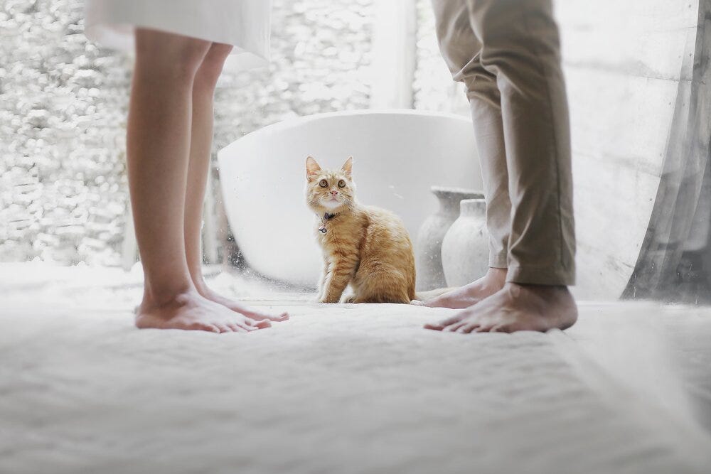 How to Know When Your Marriage Is Over Here are the 4