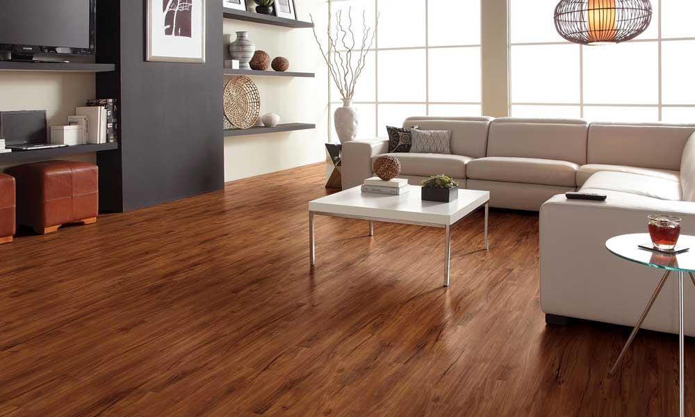 Axminster Carpet Dealer In Bangalore And Wall To Wall Carpet In