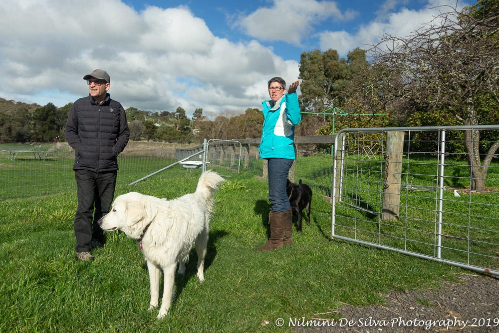 A Passion for Horses, Food Systems and a Connection to Land
