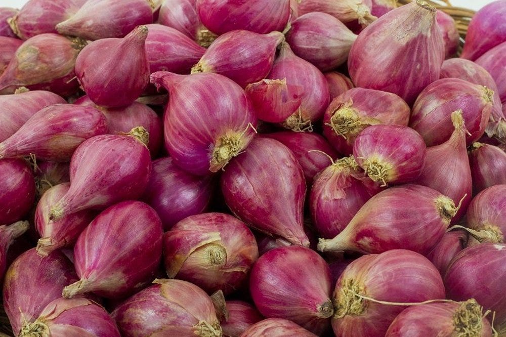 Mengapa Bawang Merah Sumenep adalah Bahan yang Tepat untuk Membuat