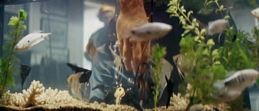 Film d essay picture