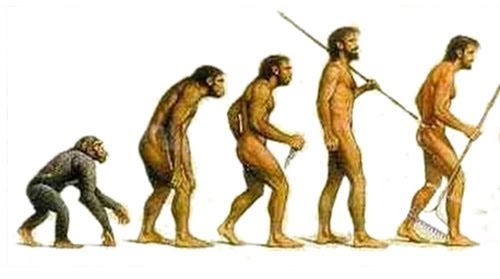 An illustrated depiction of the evolution of humans from ape through to neanderthals and modern humans