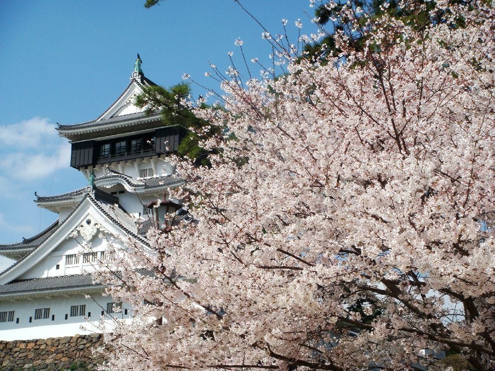 日本花見樂 櫻花躺在歷史中 九州櫻花名所 預想日和春季美食 一年容易又春天 寒冷的冬季正萌生去意 緊接而來的便是生機滿滿的春季 雖然日本大部 By 是日太郎 日本花見樂 櫻花躺在歷史中 九州櫻花名所 預想日和春季美食 一年容易又春天 寒冷的冬季正萌生去意 緊接而來的便是生機滿滿的春季 雖然日本大部 By 是日太郎