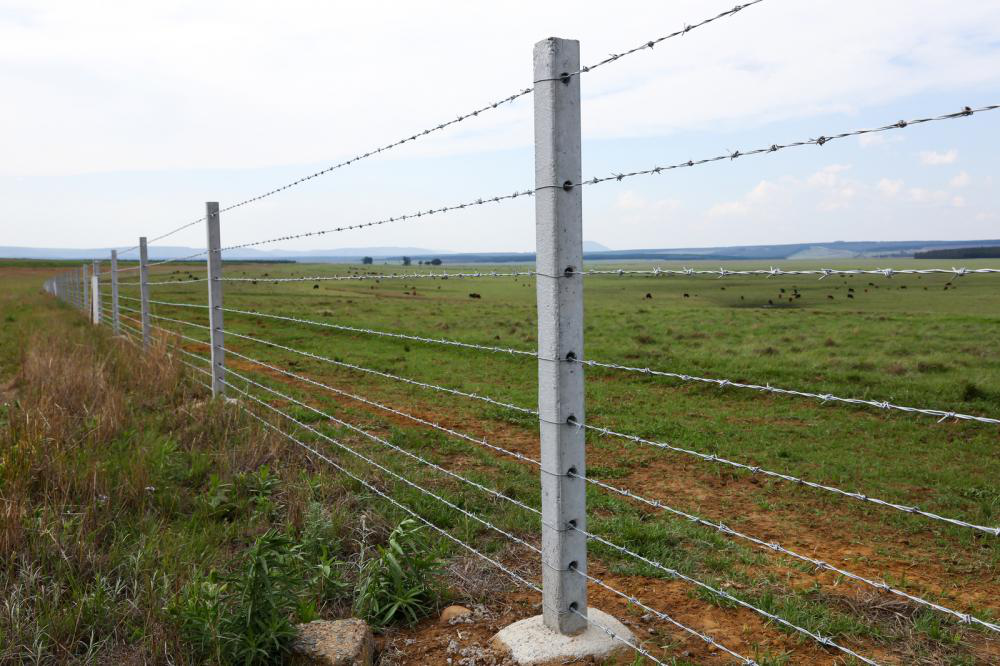 Building an Electric Fence on Your Farm? Avoid These Mistakes! by