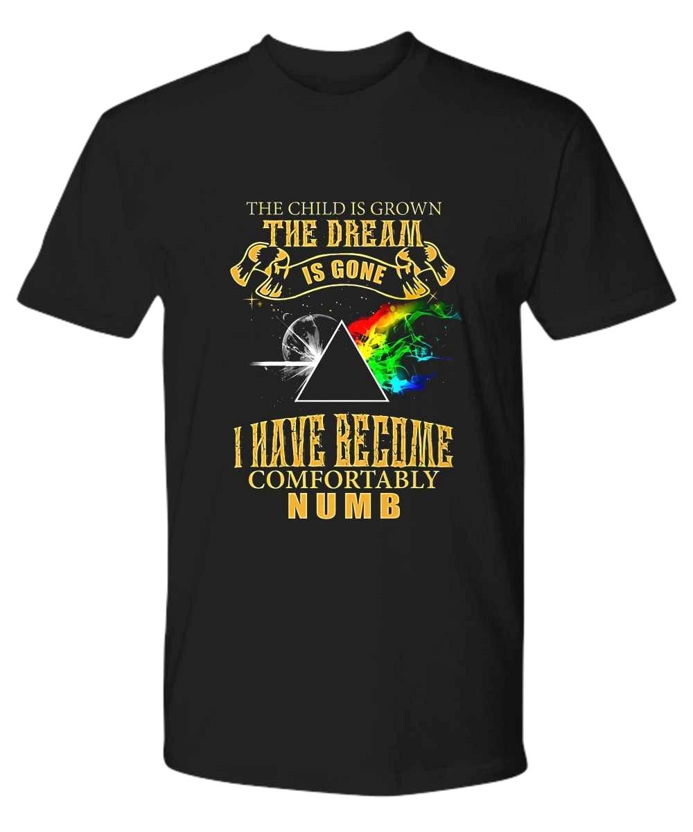 Pink Floyd Comfortably Numb The Child Is Grown Ver 2019 Shirt