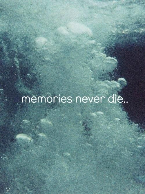 Memories Never Fade Quotes Quotesgram