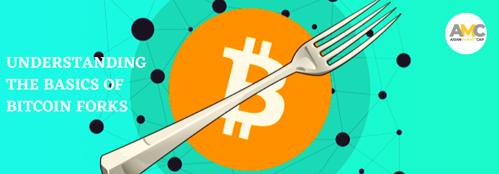 fork bitcoin transaction