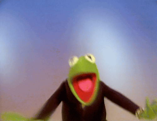 Jordan Peterson v Kermit the Frog: who is the best? | by Tom James | Medium