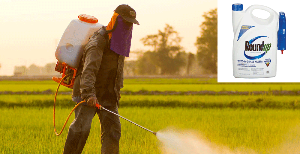 An Overview Of Monsanto Roundup Cancer Lawsuits By Monsantoroundupcancer Medium