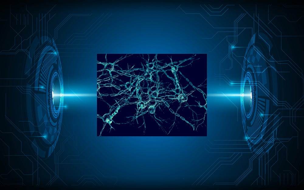 Unveiling Biology with Deep Microscopy - Towards Data Science