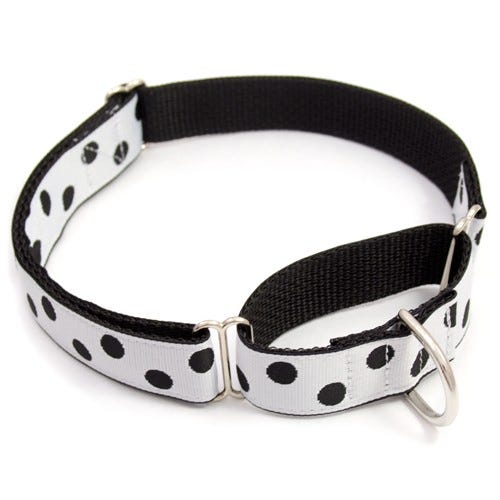 Different Types of Dog Collars Styles by RUBY PEREZ Medium