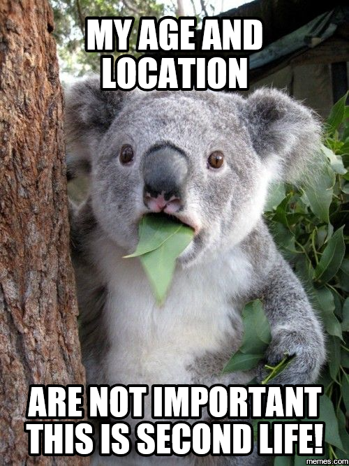 Get Memes How To Provide A General Message And Humor By Frederick Free HD Get Wallpaper Memes How To Provide A General Message And Humor By Frederick HD