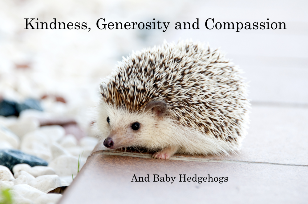 Kindness, Generosity And Compassion | By Andrew Robinson | Precarious ...