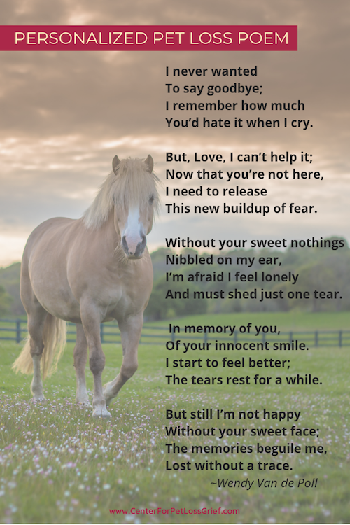 The Innocent Smile of A Horse Saying Goodbye by Wendy Van de Poll