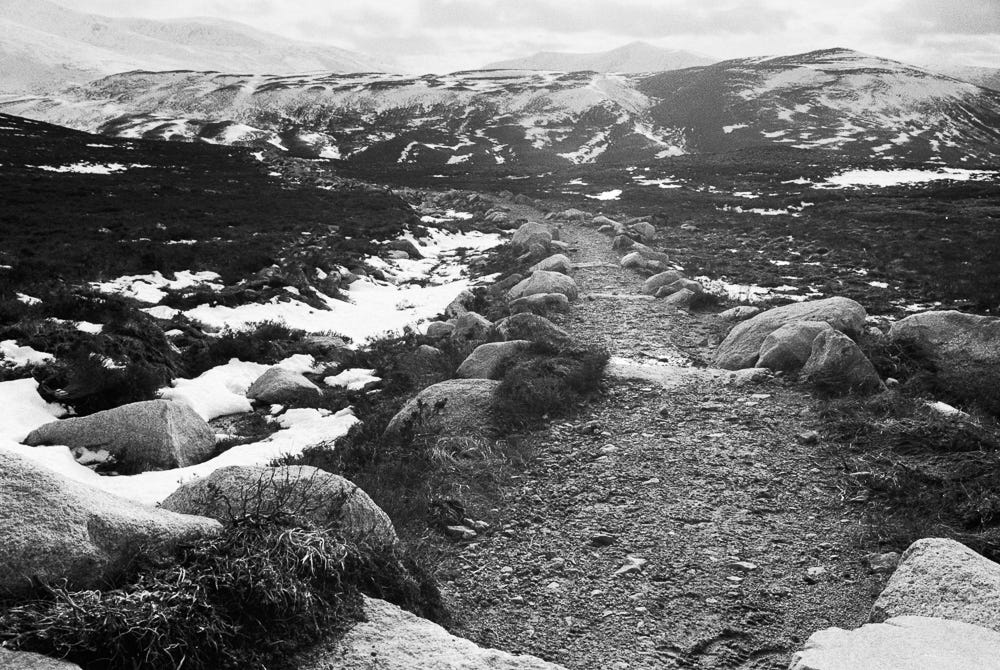 Devolution of Management?. I never understood devolution, but now… by