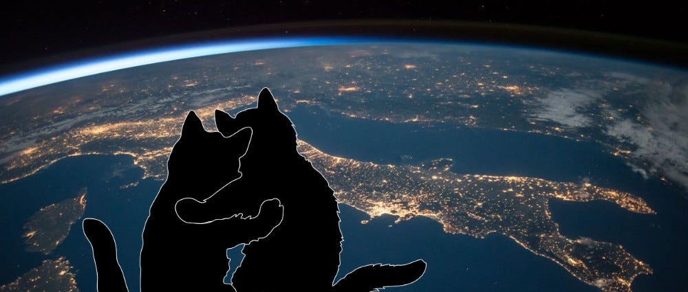 Is It Moral To Bring Animals To Space The Cosmic - 
