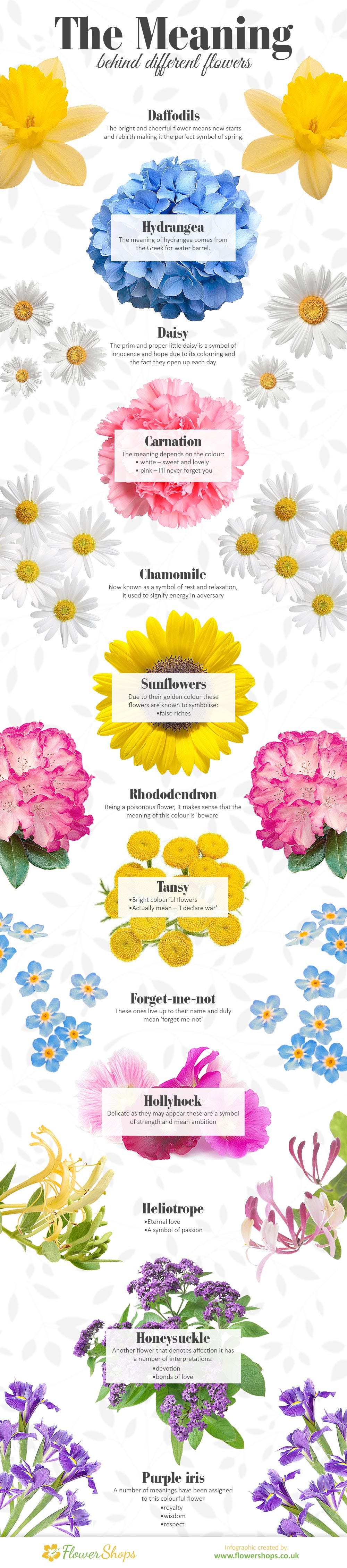 13 Flowers And The Meaning Behind Their Names By Leslie Clayton Medium