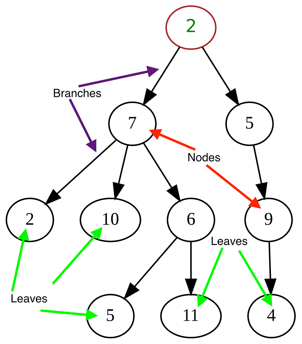 The Trees are Still There???. The second part in my series: Love and ...