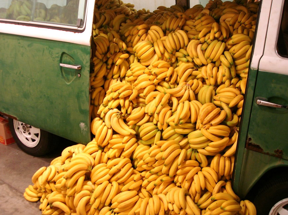 My Ride on the Art Basel Banana. How I was accidentally immortalized in