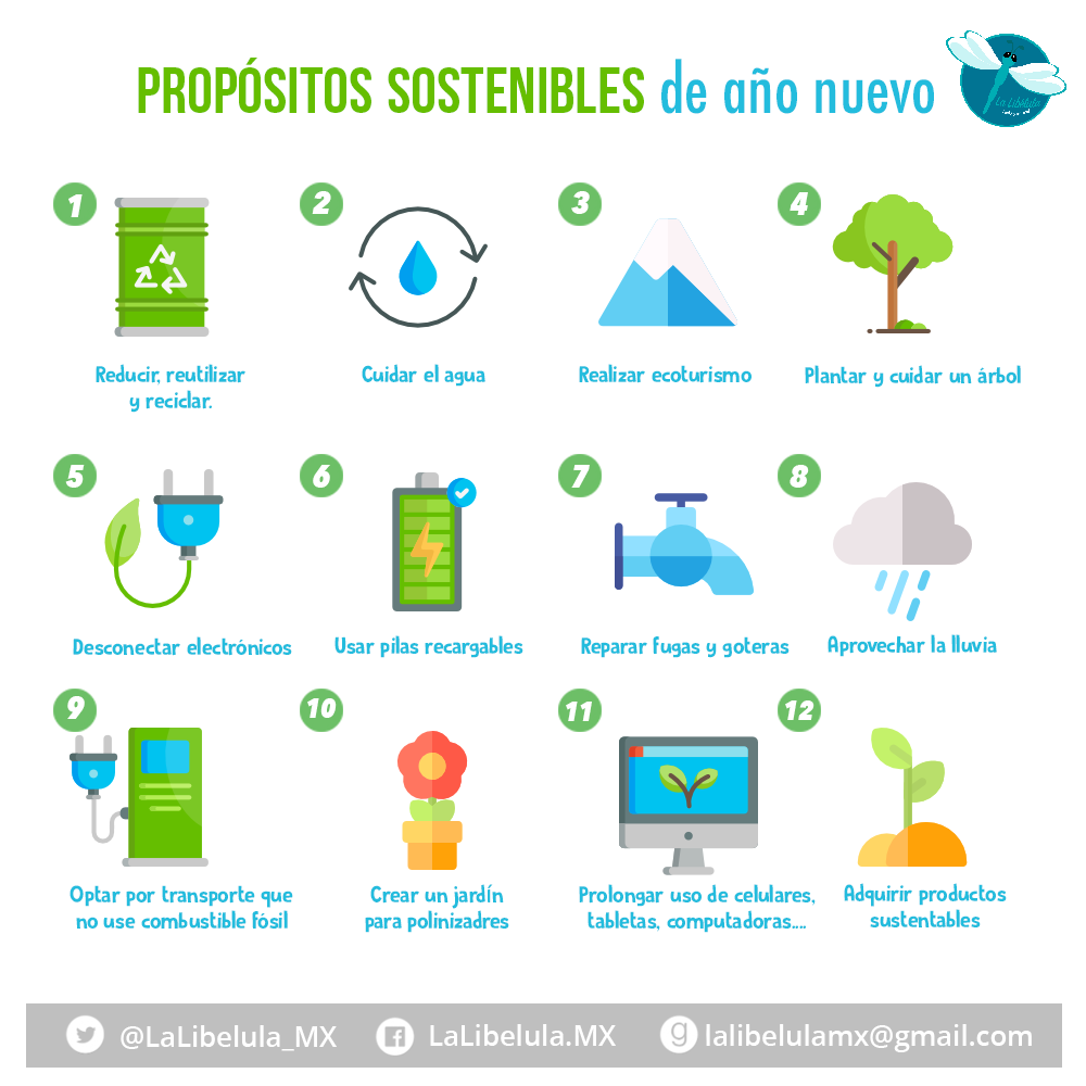 12 propósitos sostenibles de año nuevo | by La Libélula México | Medium