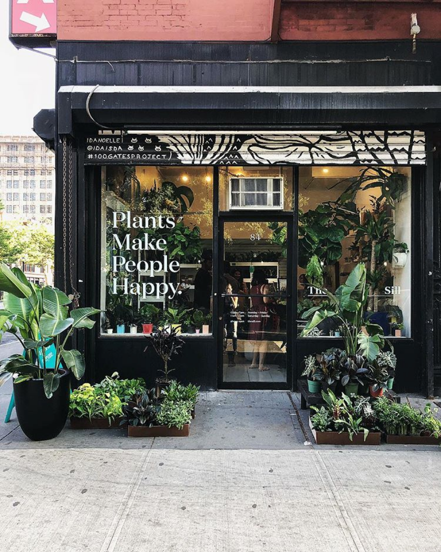 Observations Are Plants The New Streetwear By Anthony Virey Medium