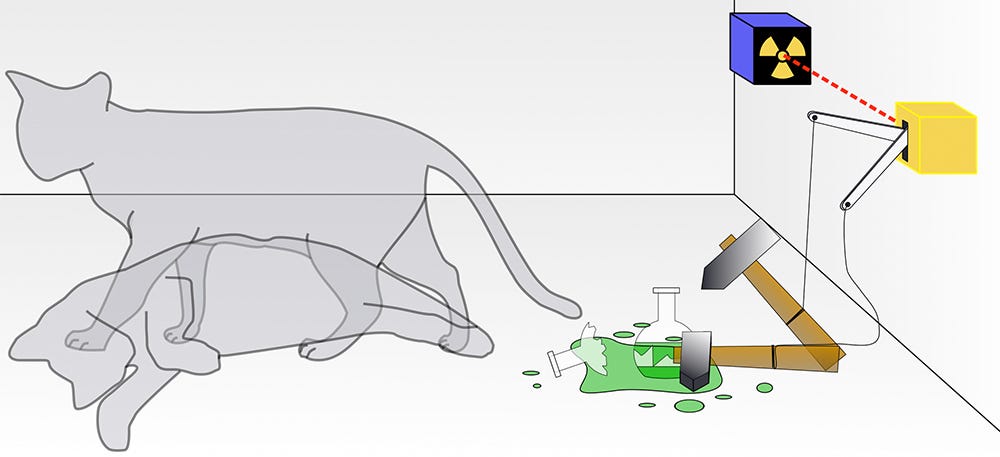 Stando all’esperimento mentale (1935) di Erwin Schrödinger, un fisico austriaco, nella fisica quantistica un gatto può assumere contemporaneamente due stati, può essere sia vivo che morto. Per questo l’esperimento è conosciuto con il nome di paradosso. Allo stesso modo i qubit possono essere sia zero che uno. Stando all’esperimento mentale (1935) di Erwin Schrödinger, un fisico austriaco, nella fisica quantistica un gatto può assumere contemporaneamente due stati, può essere sia vivo che morto. Per questo l’esperimento è conosciuto con il nome di paradosso. Allo stesso modo i qubit possono essere sia zero che uno.