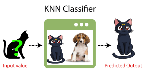 nearest pet value