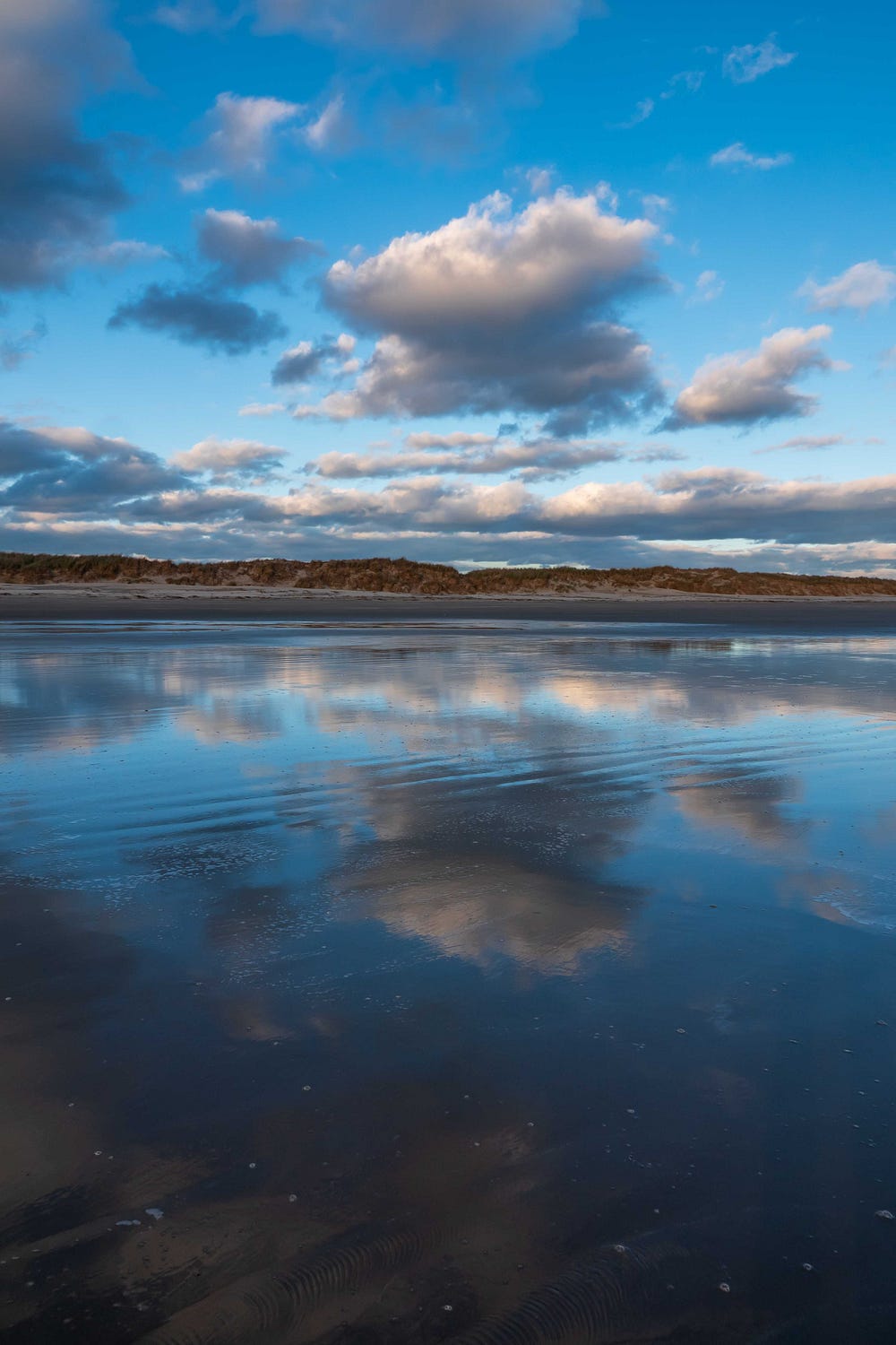 Martinique Beach, Nova Scotia. Photograph by Jerry Katz