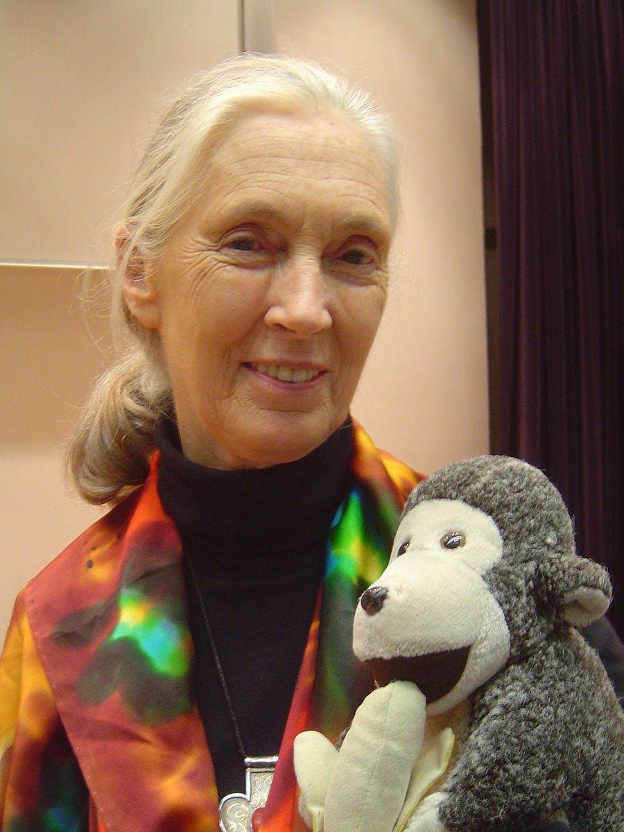 Dr. Jane Goodall in a black turtleneck sweater and colorful jacket holding her toy monkey, Mr. H who travels with her