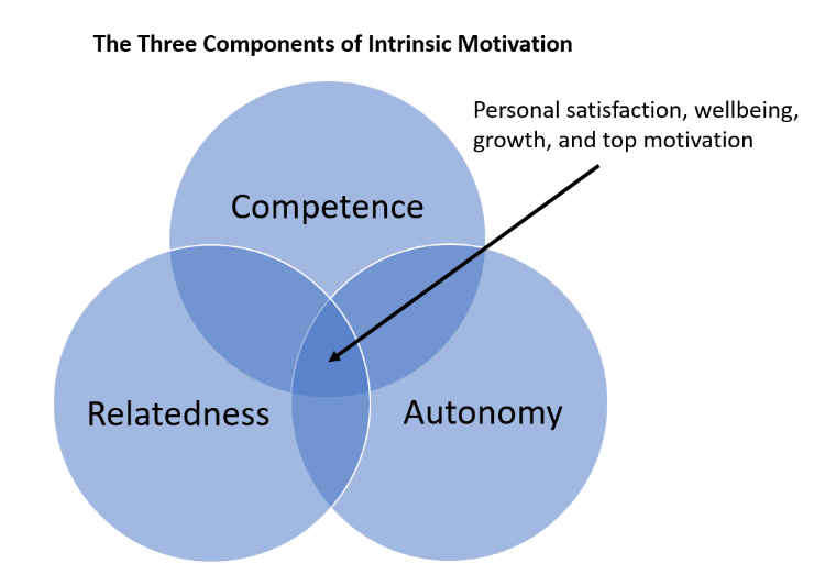 extrinsic vs intrinsic motivation hbr